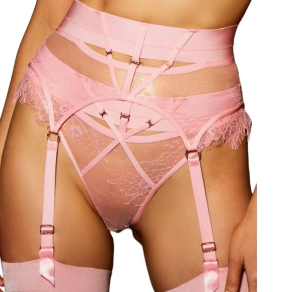Honey birdette candy pink Belinda panty NWT - Picture 3 of 5
